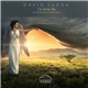 David Surok - Out Of The Sky